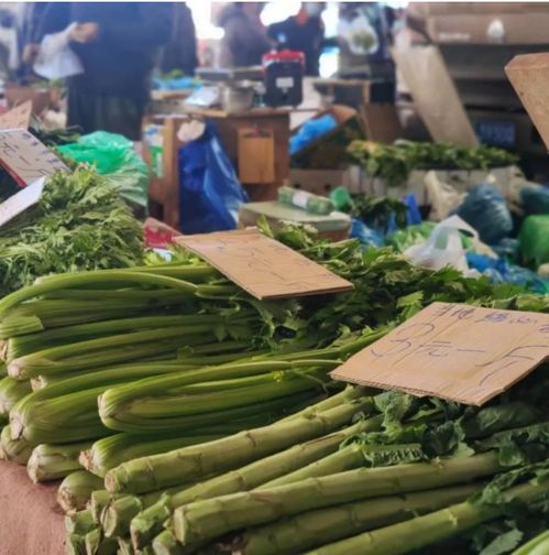 辽宁省大连市市场监管局公布5起食品安全案例